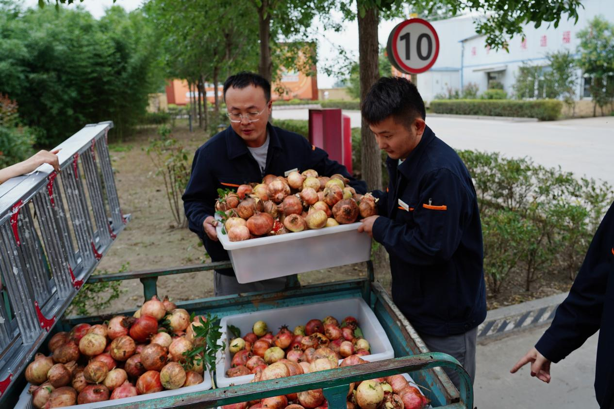 中国·77779193永利(集团)有限公司-官方网站